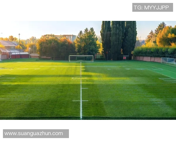 绿茵场上闪耀的光芒足球天使展现激情与荣耀 绿茵场上闪耀的光芒足球天使展现激情与荣耀